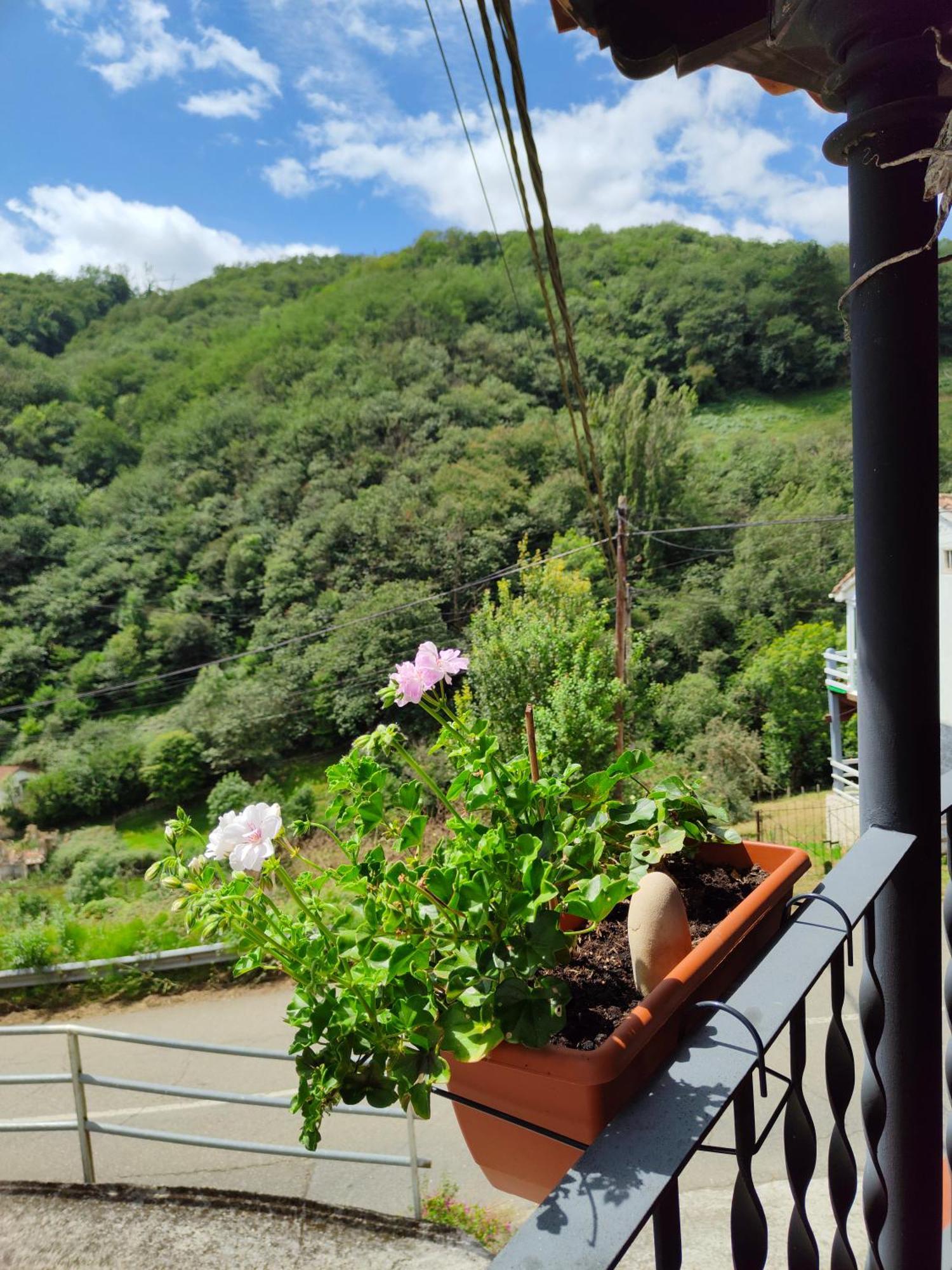 多纳格迪奥赛酒店 波拉·德莱纳 外观 照片
